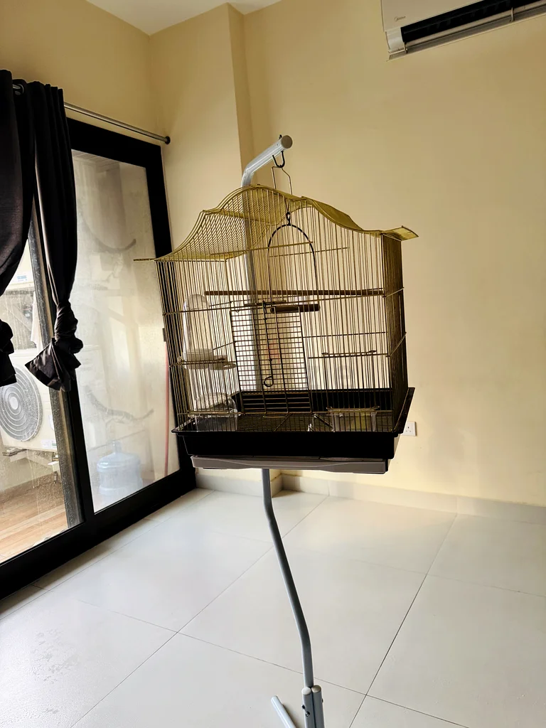Bird Cage with stand63232650442755111