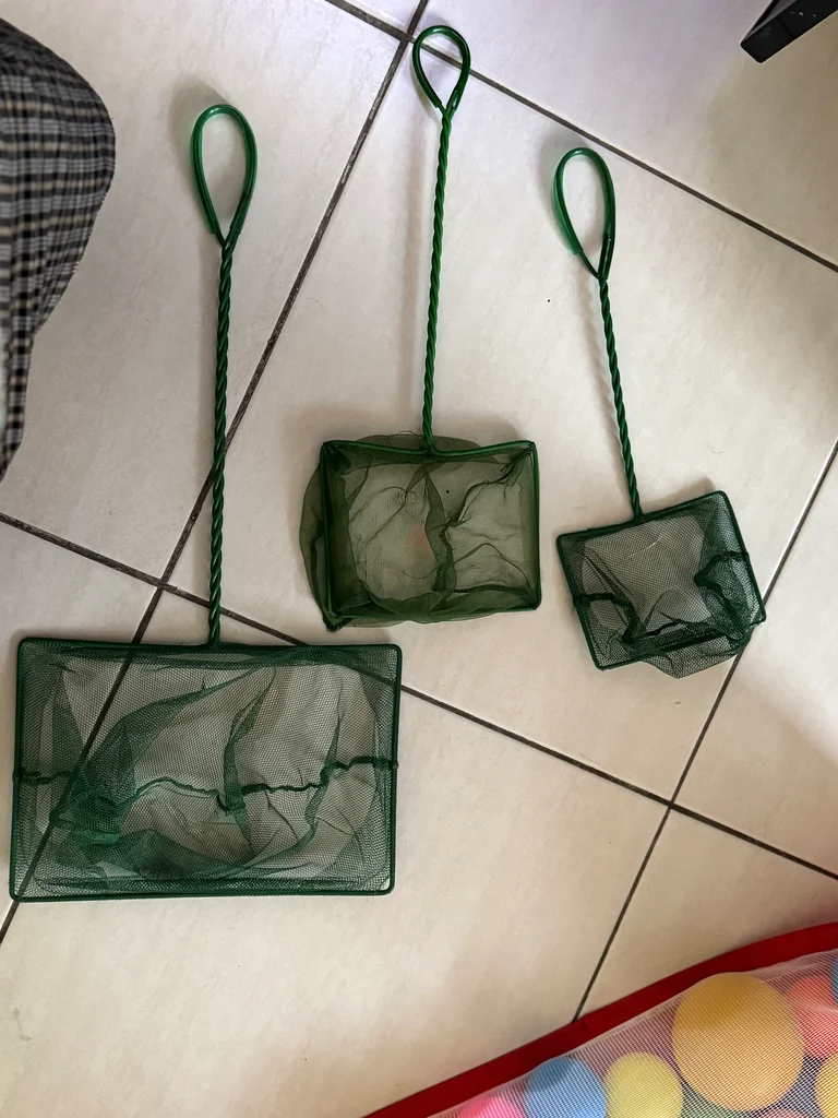 Fish Tank with Fish  Accessories63232650189571111