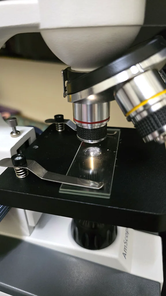 الميكروسكوب Amscope m15063172219489155113