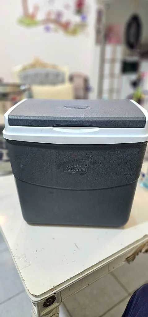 Portable Carry Ice Box 30 Litres - Coamoplast632529407631371111