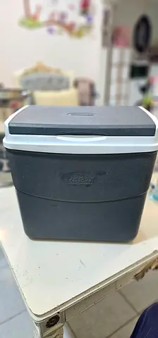 Portable Carry Ice Box 30 Litres - Coamoplast
