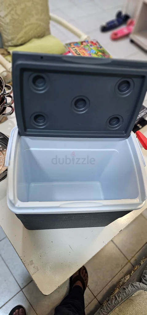 Portable Carry Ice Box 30 Litres - Coamoplast63252940763137113