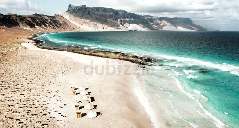 Trip to socotra island (9th-16th May)62865811212033112