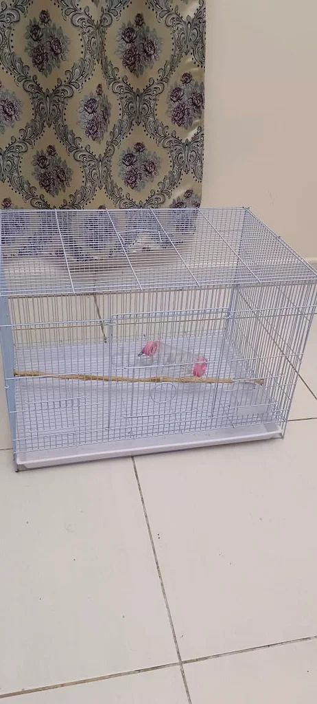 Cage63172684319234111