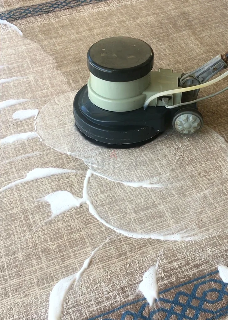 Professional Carpet Cleaning in Dubai – Deep Cleaning, Shampoo  Steam Services!63219836573313112