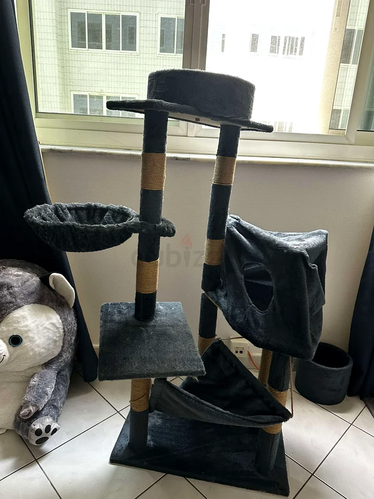 Cat furniture632346182419211126