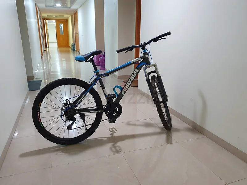Cycle (Aster - Blue)63198146940801112