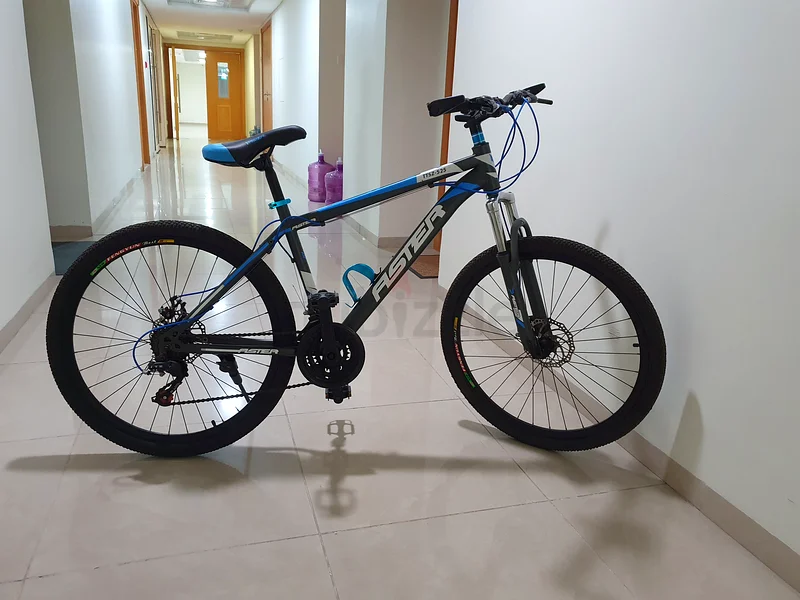 Cycle (Aster - Blue)63198146940801113