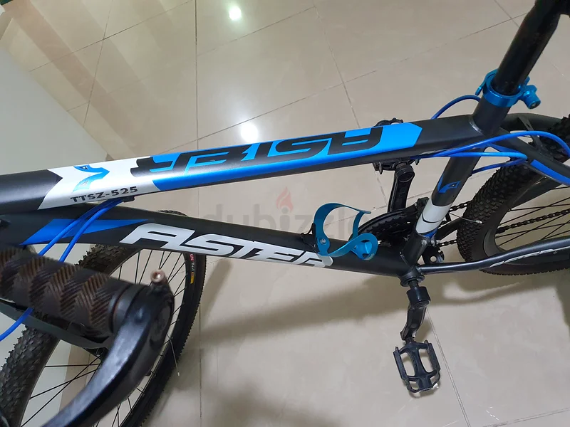 Cycle (Aster - Blue)63198146940801111