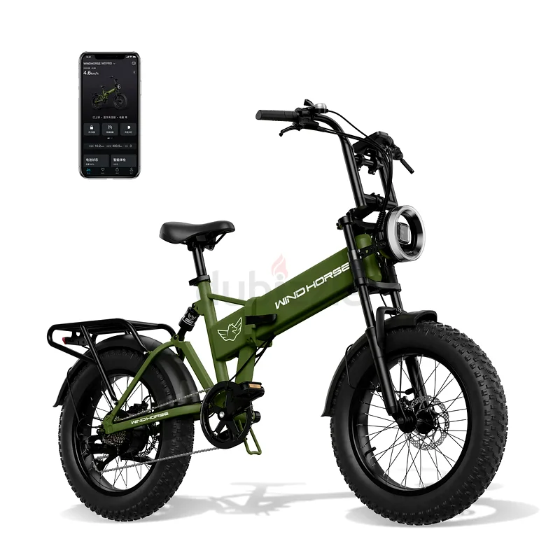 Wind Horse 48v Foldable electric bike with 1 year warranty632650992043531124