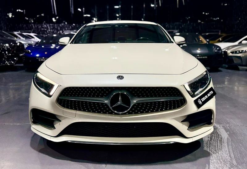 2019 Mercedes CLS 450 Perfect Condition63164313543682111