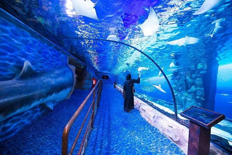 Dubai Aquarium UnderWater Zoo629306520782111129