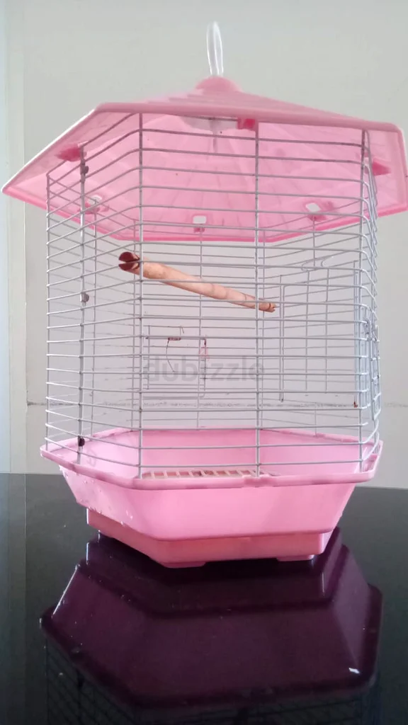Charming Pink Bird Cage62930648904705112