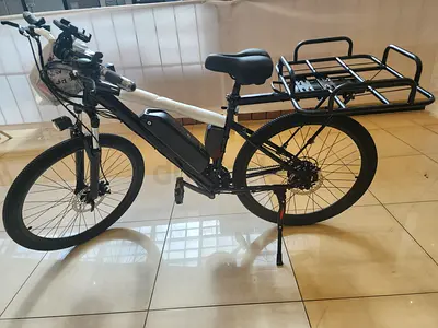 Winner Sky Electric bike