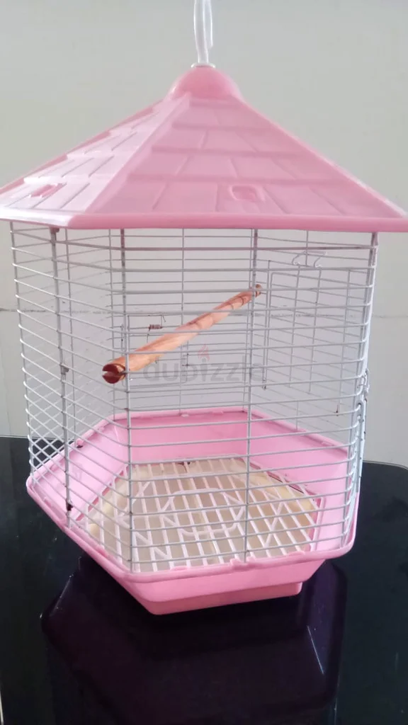 Charming Pink Bird Cage629306489047051119