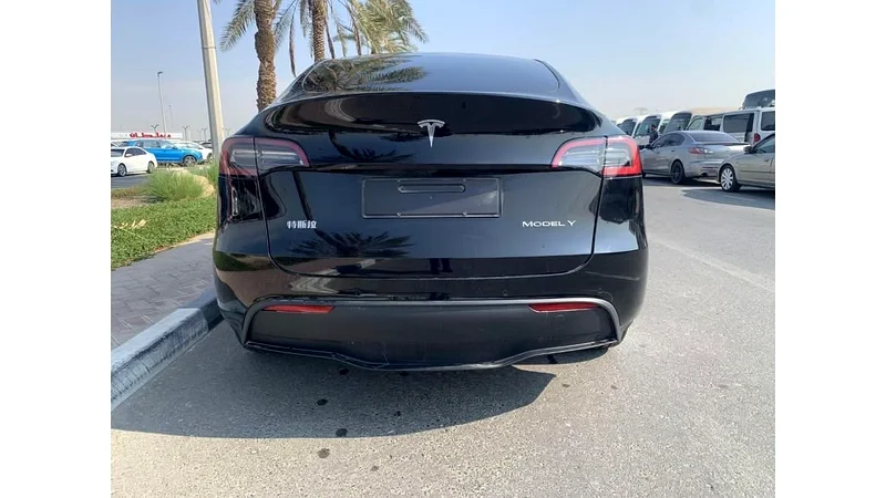 Tesla model y63175259272194114