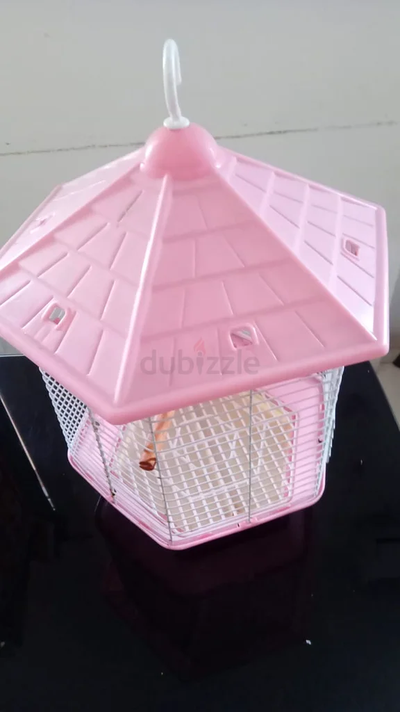 Charming Pink Bird Cage62930648904705111