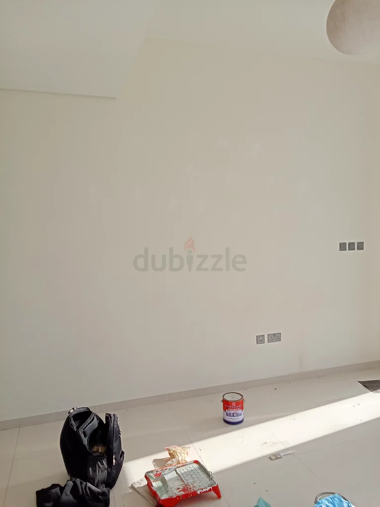 Painters, High Quality Home Painting,63217828058881113