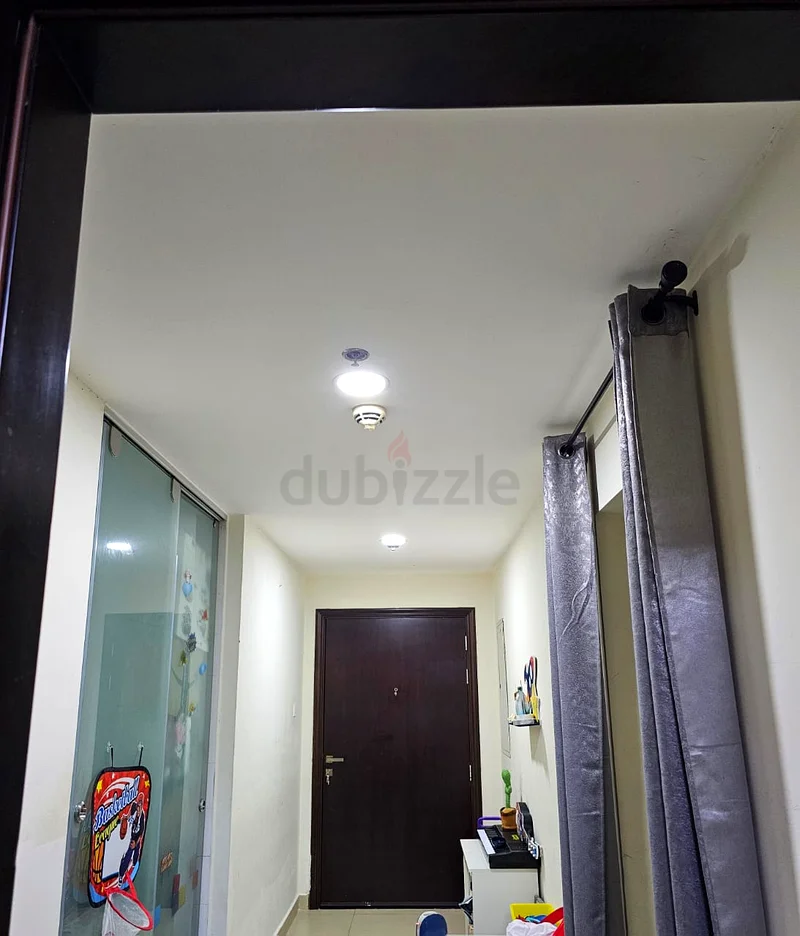 خدمة طلاء عالية الجودة بسعر رخيص63218320540546113