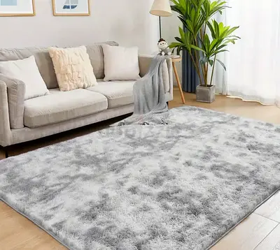 Soft and Cozy Modern Area Rug for Your Living Room