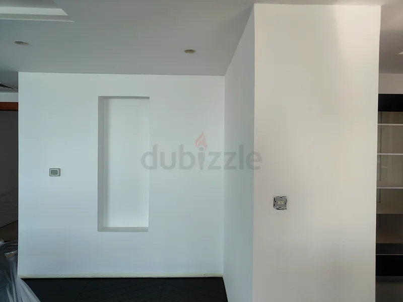 AFFORDABLE HOME PAINTING - MOVE IN /OUT REFRESH PAINTING, GET QOUTE NOW629316890397451123