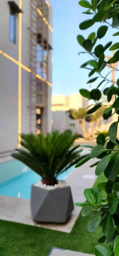 Garden  Outdoor Oasis - Stylish Modern Perfect for Relaxation!63220322604162112