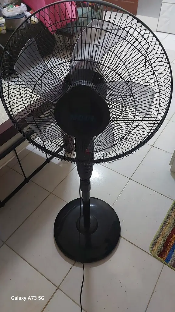 STAND FAN