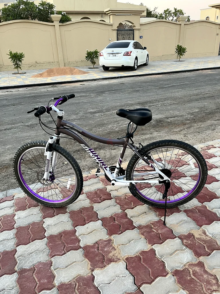 Stylish Cruiser Bike - Perfect for Off-roading.63246245751811112