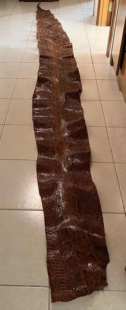 سجادة ثعبان سودانية أصلية (لمزيد من التفاصيل، اقرأ الوصف)632203187418901126