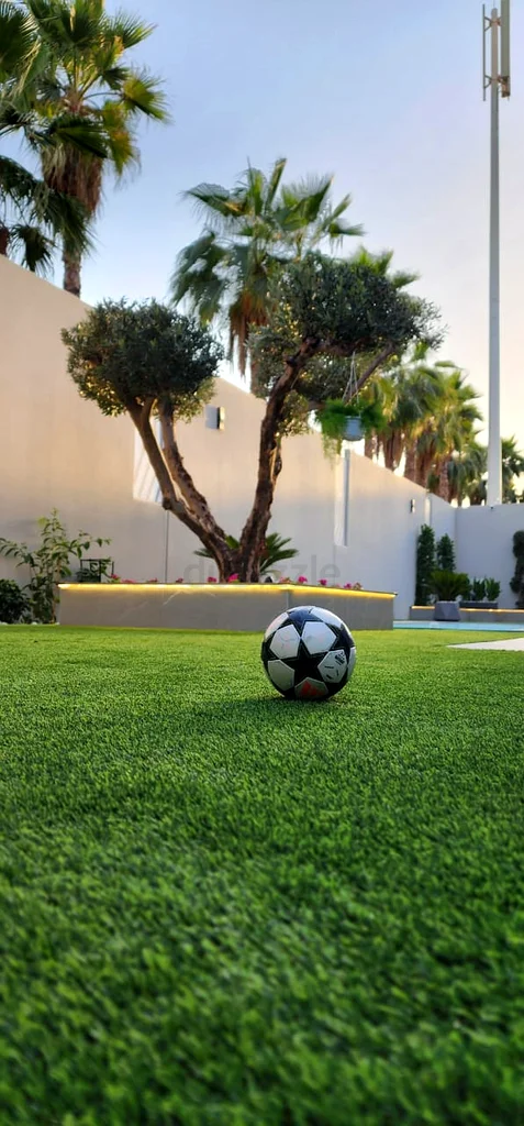 Garden  Outdoor Oasis - Stylish Modern Perfect for Relaxation!63220322604162114