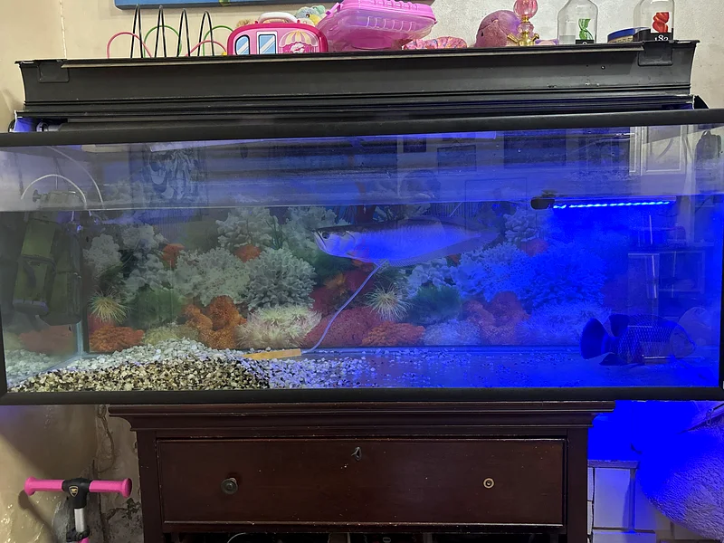 Aquarium for sale63235601315457111