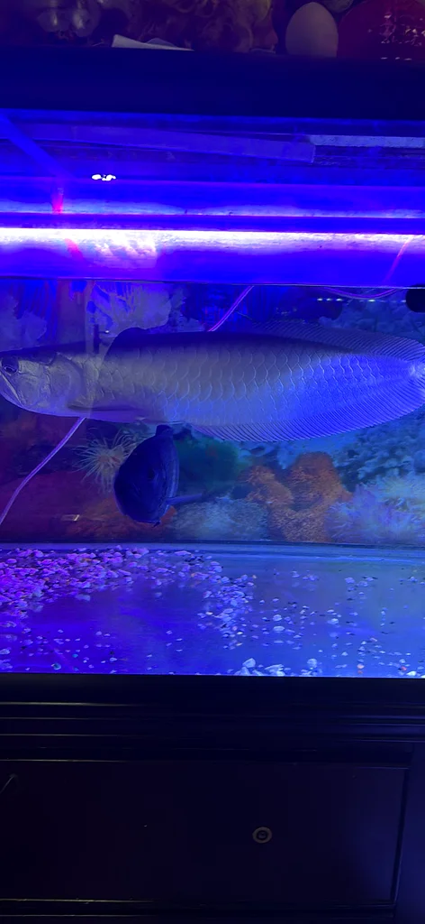 Aquarium for sale632356013154571120