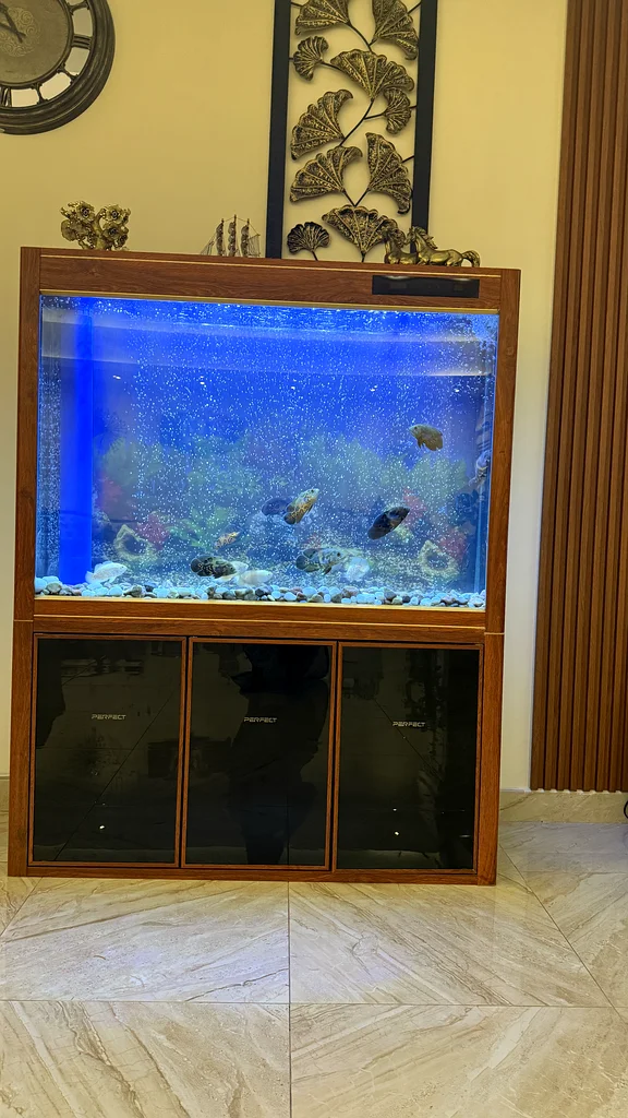Aquarium with fish63235601301633111