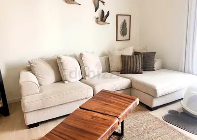 The one brand lshape sofa