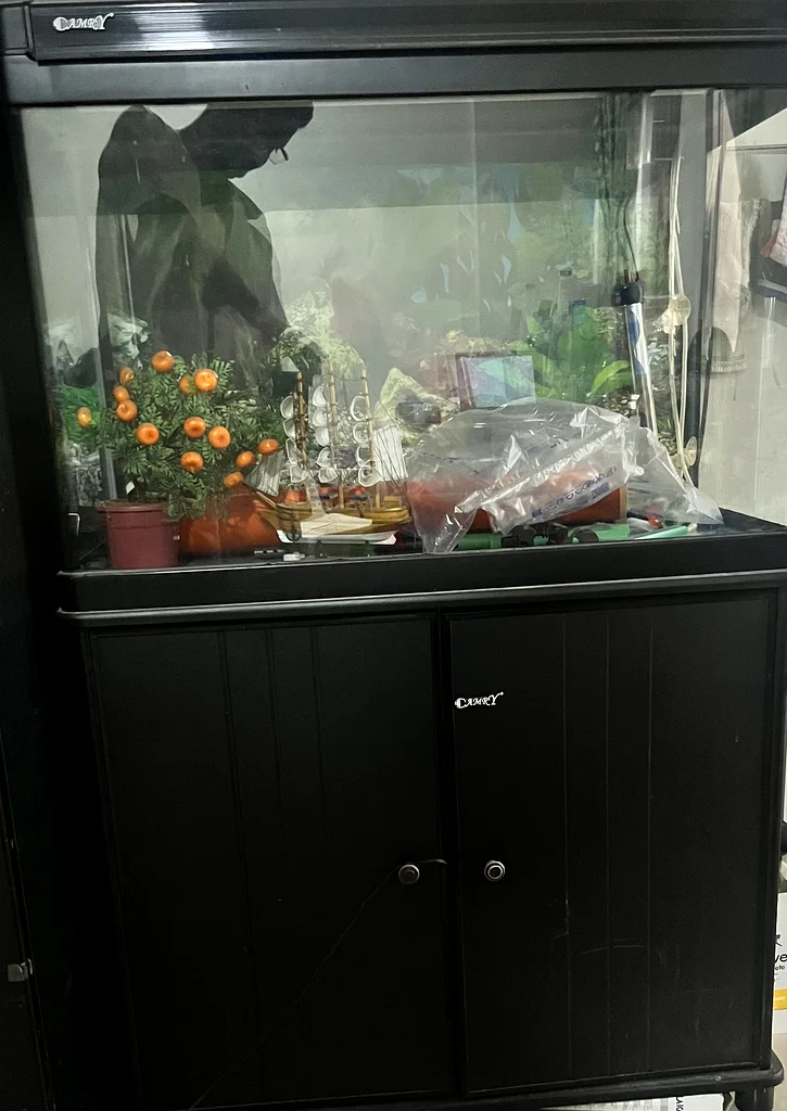 Stunning Black Aquarium Cabinet for Sale!632356013089301118