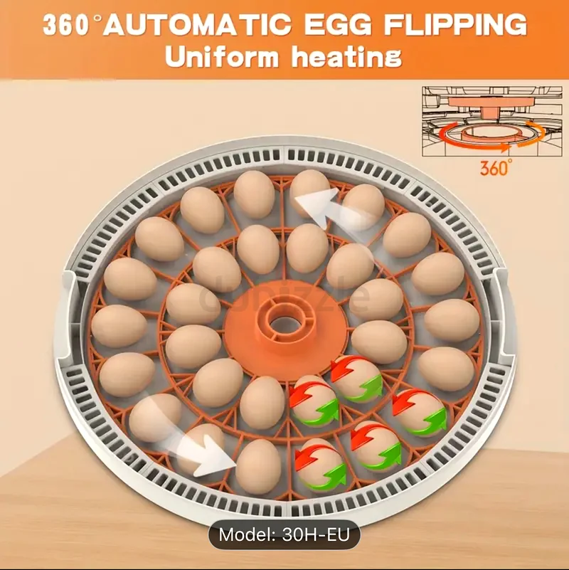 30 Eggs incubator63258656553858110