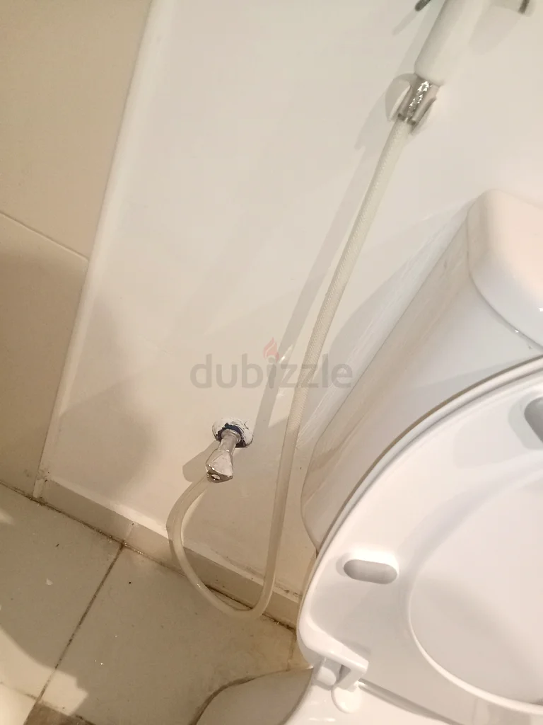 Painters63216842642178113