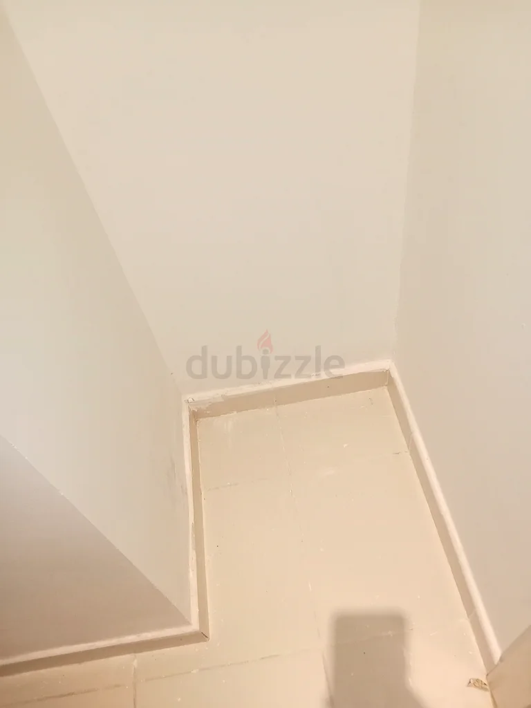 Painters63216842642178112