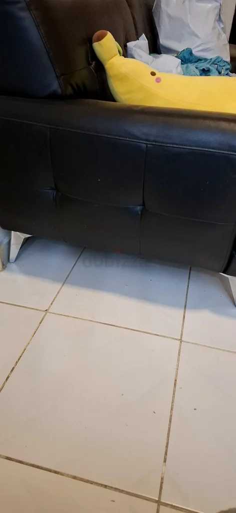 Big 2 Seater HomeCentre Sofa63264081771266111