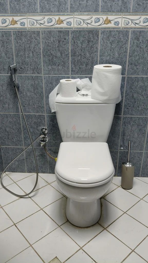 Plumbing Services all over Dubai 24/7. Wc - Drain block - Leaks Repair - Installations62929662158595112