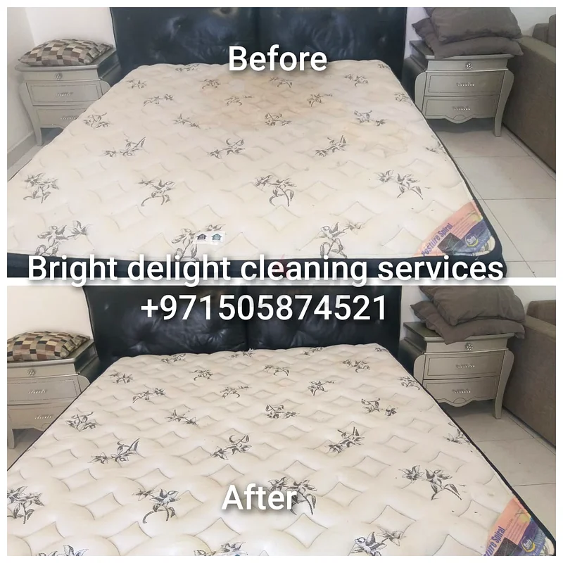 Sofa/couch, mattress, apartment, chairs deep shampoo cleaning services63217829822849112