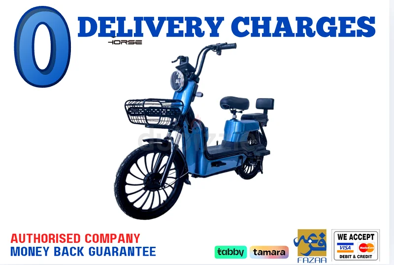 Wind Horse M3 Electric Bike632650997788191128