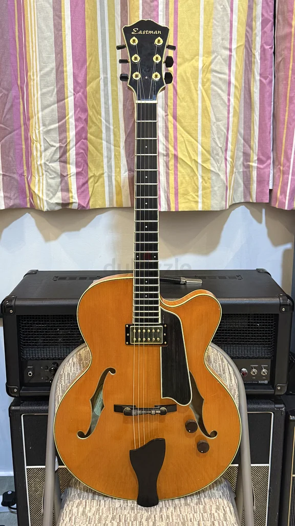 Sale or Trade Eastman T146SM Thinline Electric Guitar63206871856771112