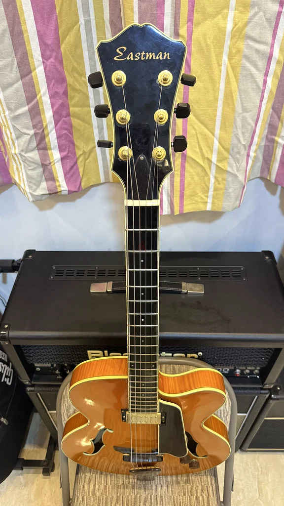 Sale or Trade Eastman T146SM Thinline Electric Guitar63206871856771113