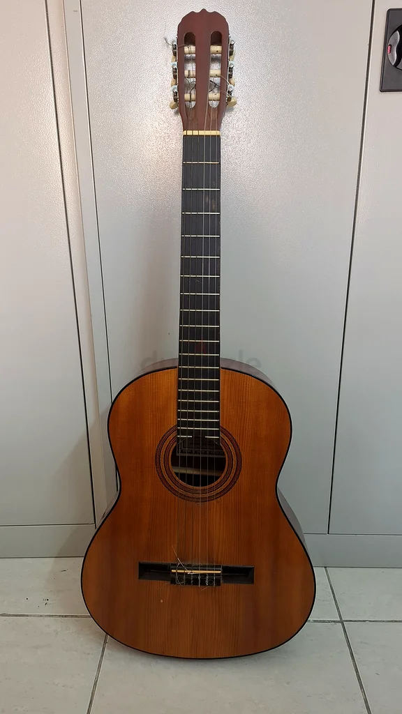 Hohner 6 String Acoustic Guitar63201681373569112