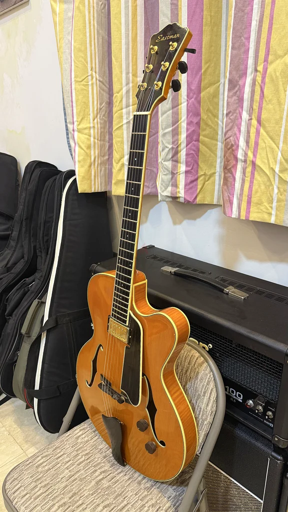 Sale or Trade Eastman T146SM Thinline Electric Guitar63206871856771114