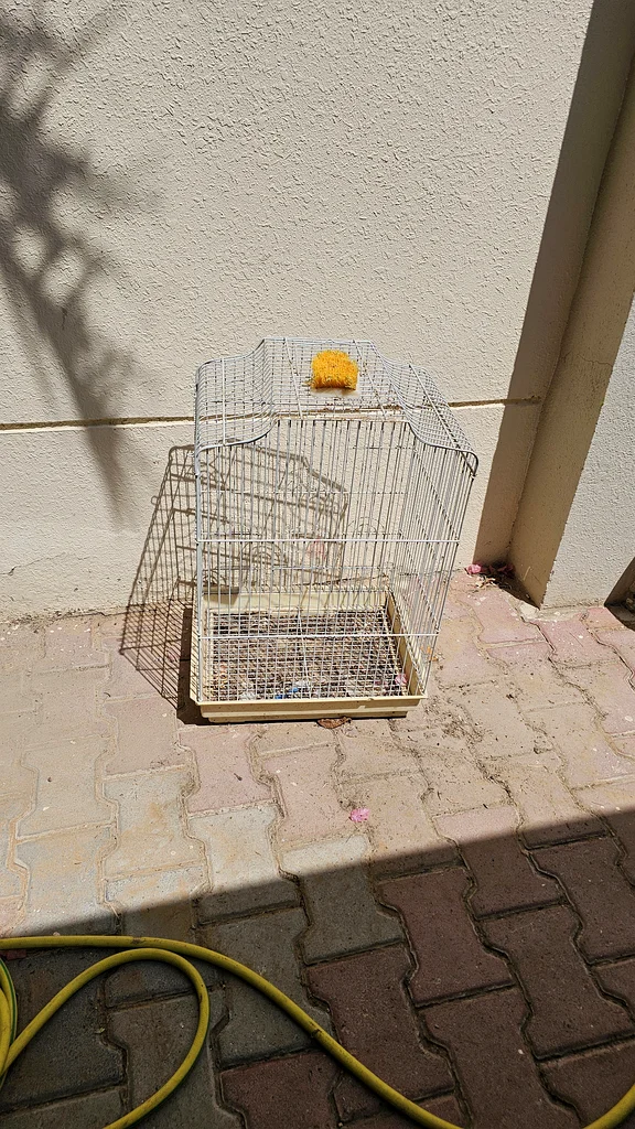 Cage for sale632326504495371121