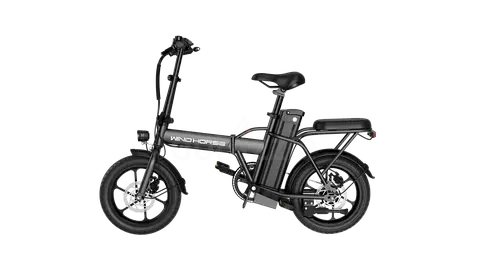 WIND HORSE W2 A  ELECTRIC SCOTER