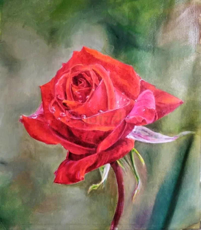 حصة رسم63437992441601111