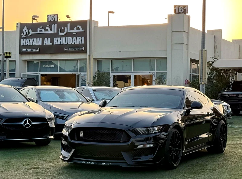 FORD MUSTANG SHELBY GT350631675576341791121